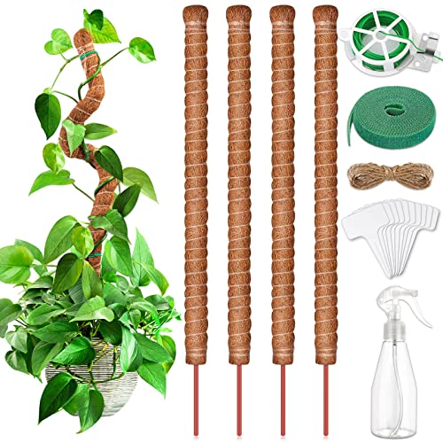 modacraft 4 Pack 64cm Pflanzenstab Rankhilfe, Biegbar Kokosfaser Moosstab für Monstera mit Sprühflasche Garten Drehbinder Pflanzenbinder Pflanzenetiketten Juteseil Kokosstab für Kletterpflanzen modacraft 4 Pack 64cm Pflanzenstab Rankhilfe, Biegbar Kokosfaser Moosstab für Monstera mit Sprühflasche Garten Drehbinder Pflanzenbinder Pflanzenetiketten Juteseil Kokosstab für Kletterpflanzen von modacraft