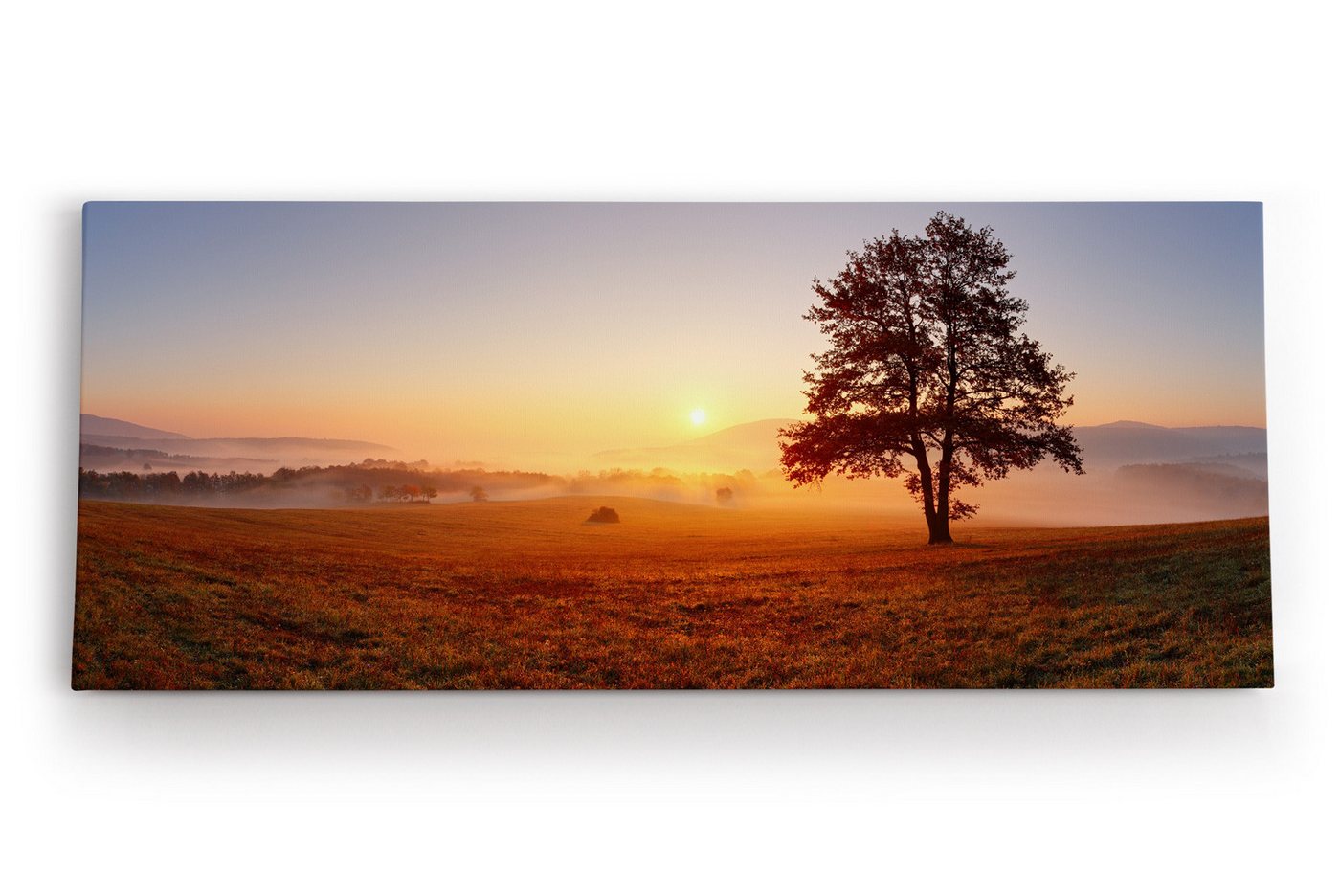 möbel-direkt.de Leinwandbild Baum Morgentau Sonnenaufgang Feld Natur Nebel von möbel-direkt.de