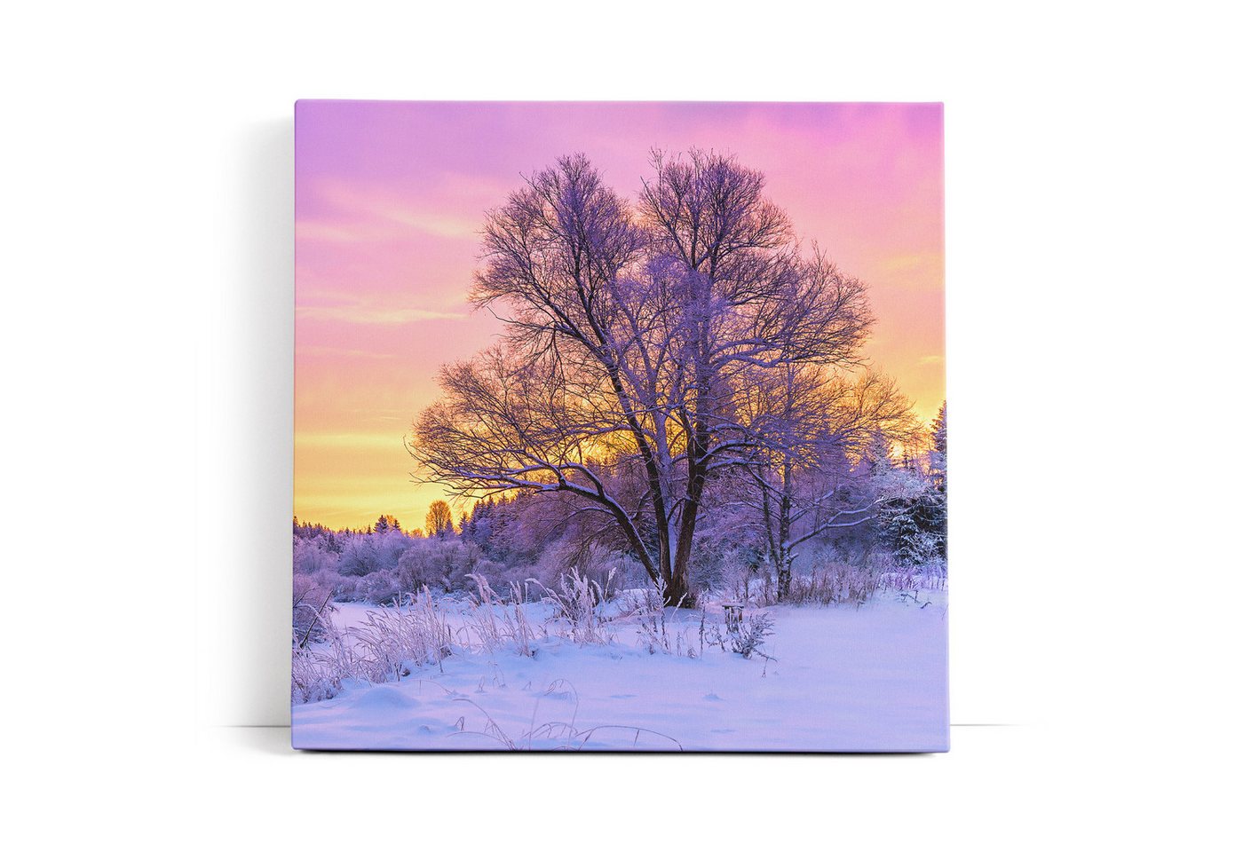 möbel-direkt.de Leinwandbild Baum im Winter Schnee Sonnenuntergang Natur Wald von möbel-direkt.de