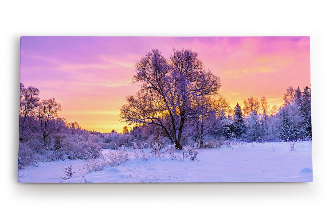 möbel-direkt.de Leinwandbild Baum im Winter Schnee Sonnenuntergang Natur Wald von möbel-direkt.de