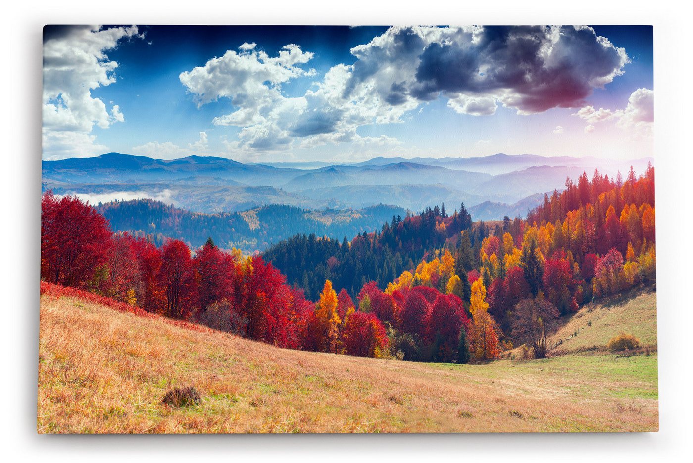 möbel-direkt.de Leinwandbild Berge Tannenwald Wald Wolken Natur Landschaft von möbel-direkt.de