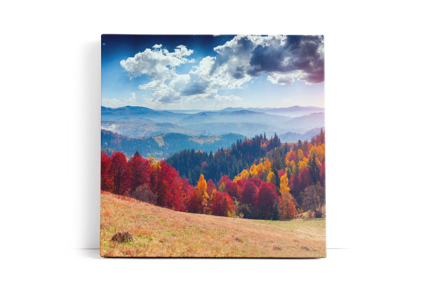 möbel-direkt.de Leinwandbild Berge Tannenwald Wald Wolken Natur Landschaft von möbel-direkt.de