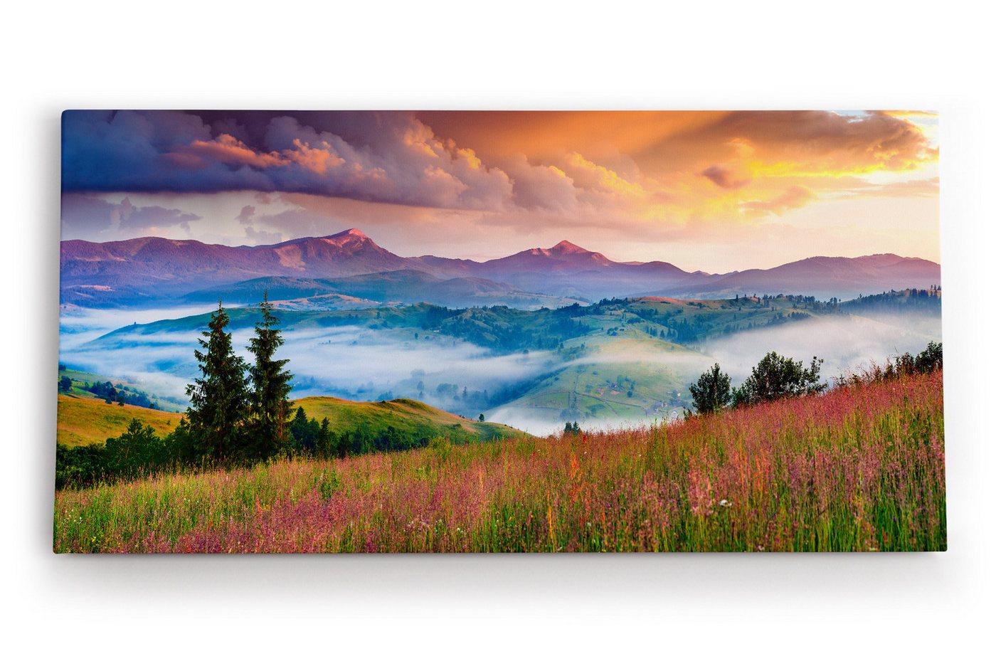 möbel-direkt.de Leinwandbild Bergtal Berge Berglandschaft Nebel Natur Blumenwiese von möbel-direkt.de