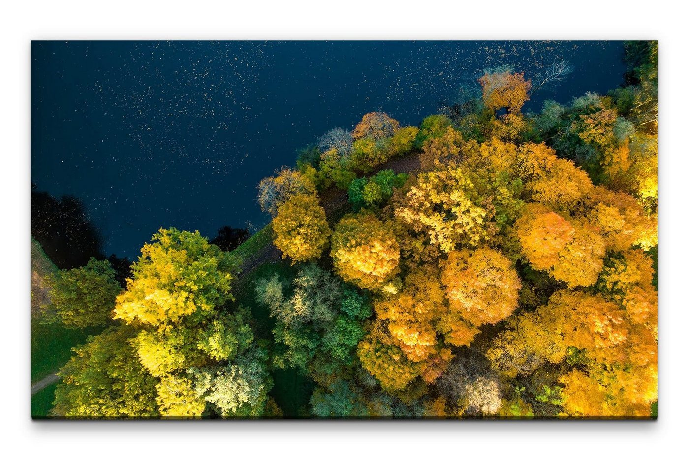 möbel-direkt.de Leinwandbild Bilder XXL Bäume am See Wandbild auf Leinwand von möbel-direkt.de