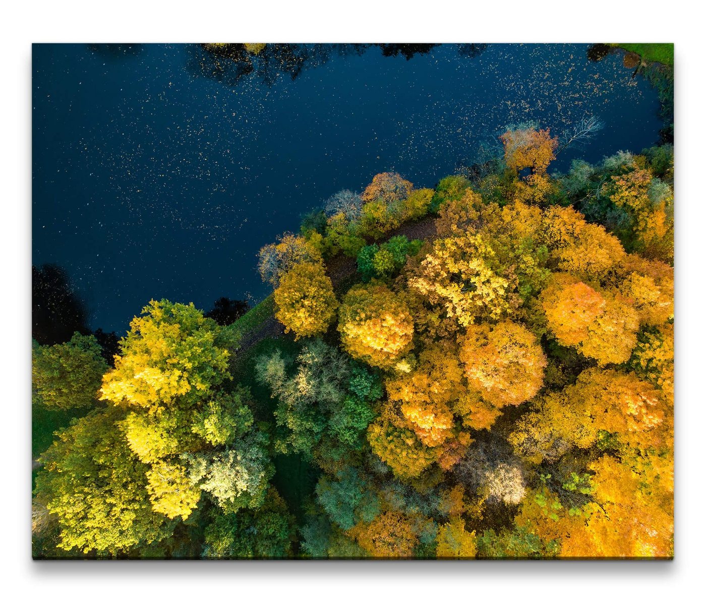 möbel-direkt.de Leinwandbild Bilder XXL Bäume am See Wandbild auf Leinwand von möbel-direkt.de