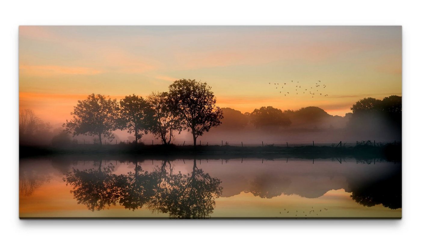 möbel-direkt.de Leinwandbild Bilder XXL Bäume im Herbst 50x100cm Wandbild auf Leinwand von möbel-direkt.de