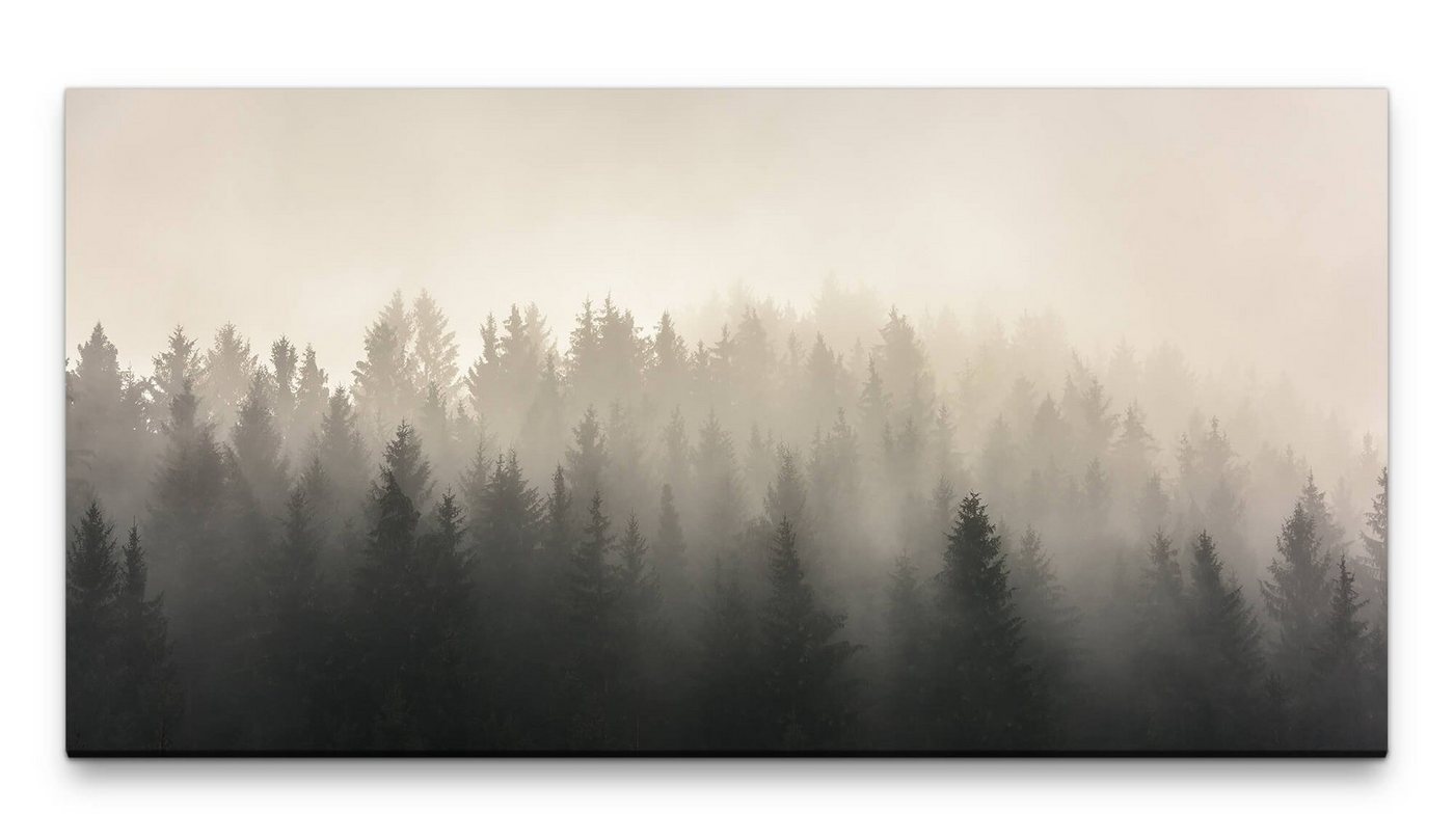 möbel-direkt.de Leinwandbild Bilder XXL Bäume im Nebel 50x100cm Wandbild auf Leinwand von möbel-direkt.de