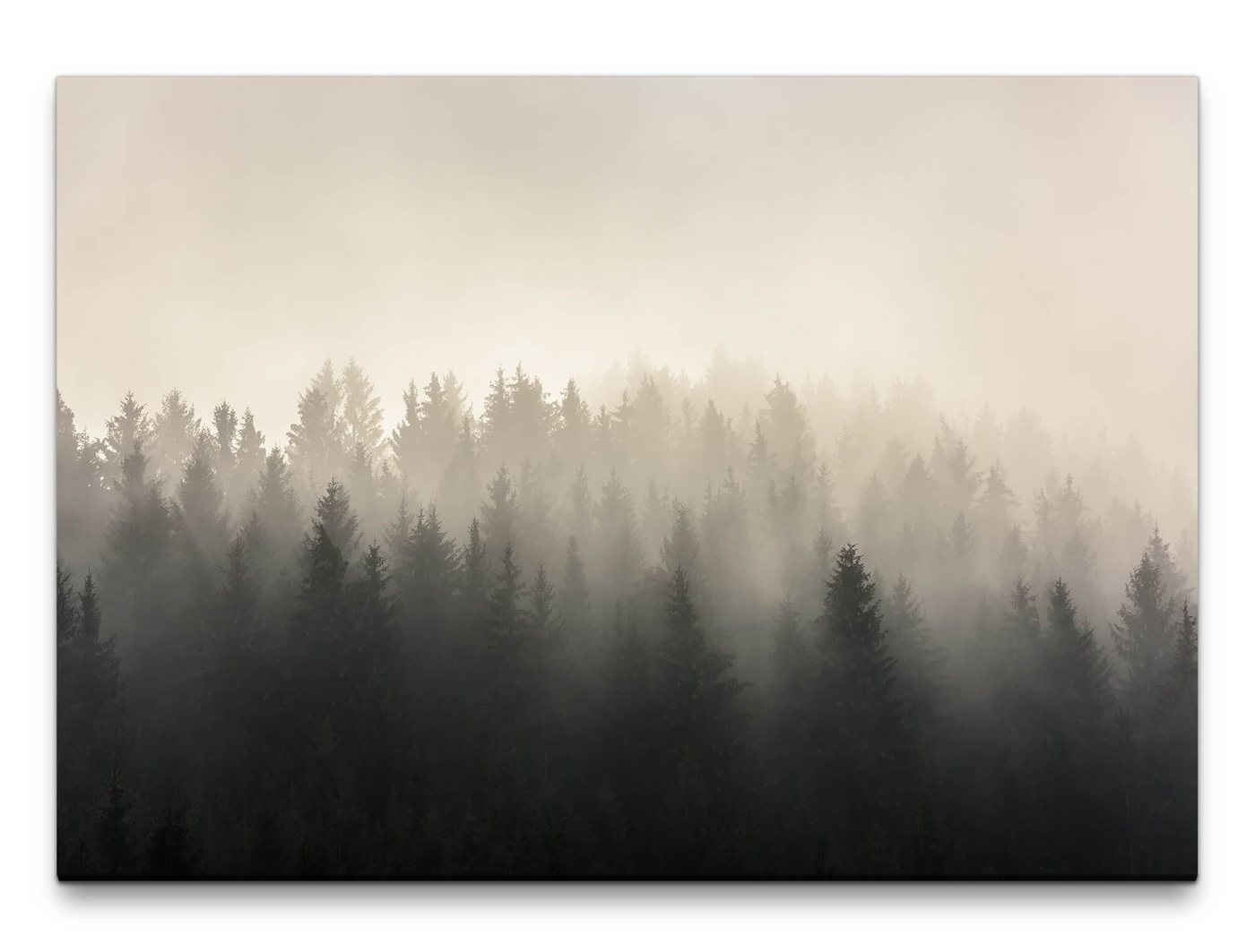 möbel-direkt.de Leinwandbild Bilder XXL Bäume im Nebel Wandbild auf Leinwand von möbel-direkt.de
