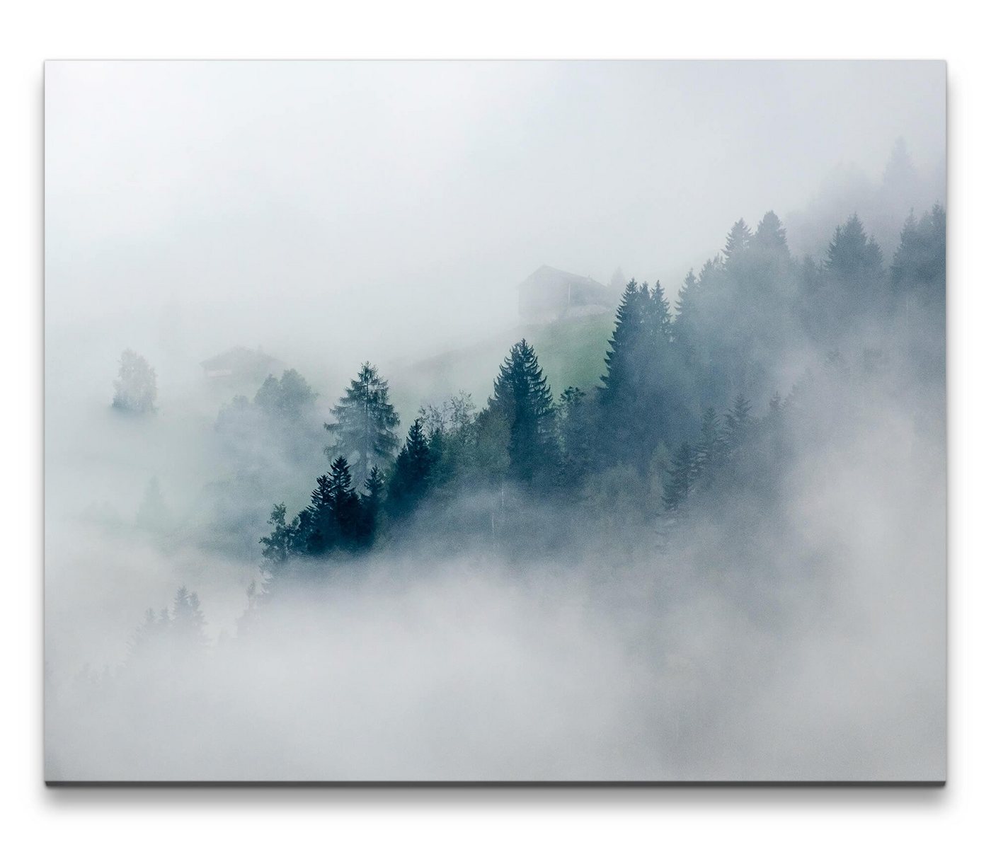 möbel-direkt.de Leinwandbild Bilder XXL Bäume im Nebel Wandbild auf Leinwand von möbel-direkt.de