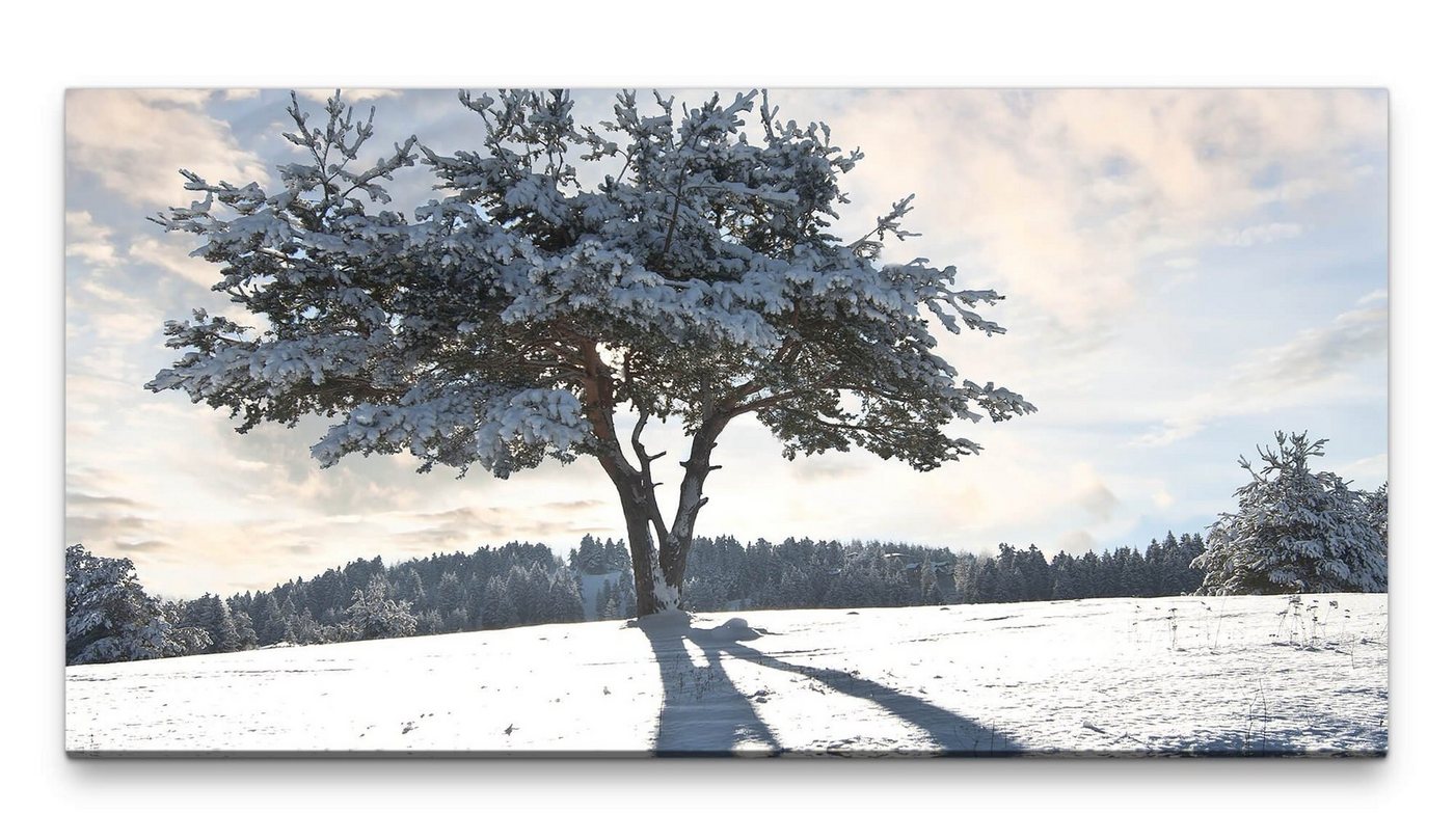 möbel-direkt.de Leinwandbild Bilder XXL Baum im Schnee 50x100cm Wandbild auf Leinwand von möbel-direkt.de