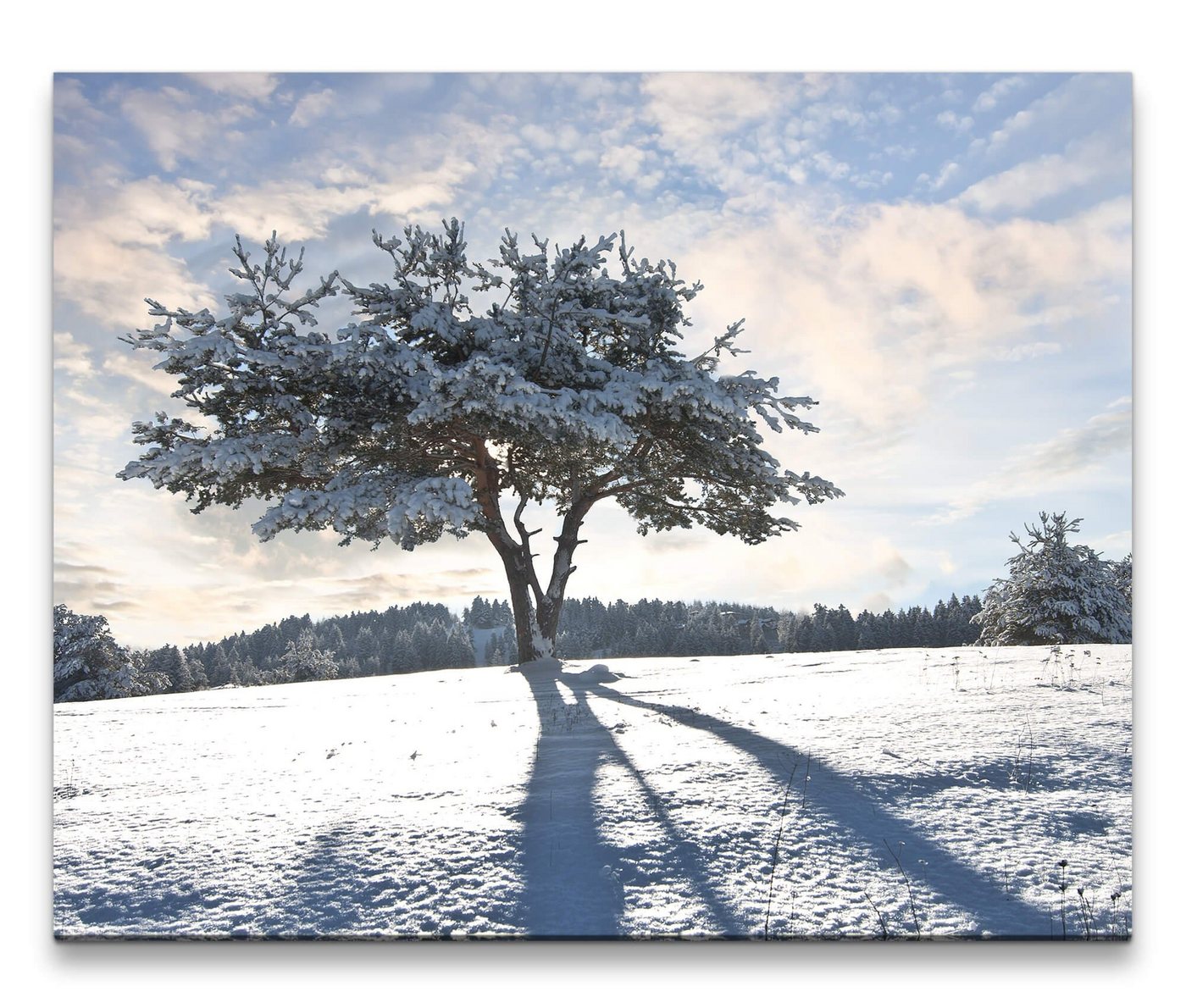 möbel-direkt.de Leinwandbild Bilder XXL Baum im Schnee Wandbild auf Leinwand von möbel-direkt.de