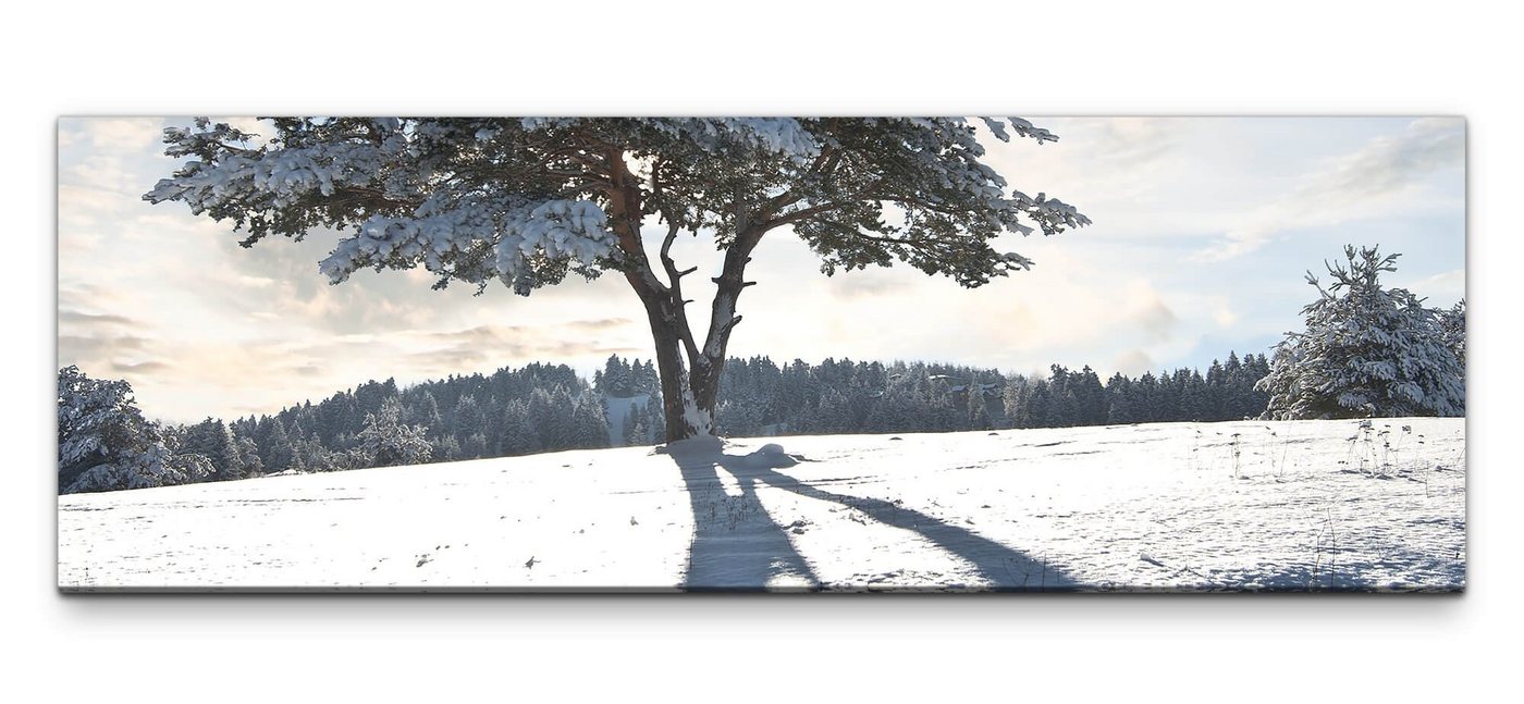 möbel-direkt.de Leinwandbild Bilder XXL Baum im Schnee Wandbild auf Leinwand von möbel-direkt.de