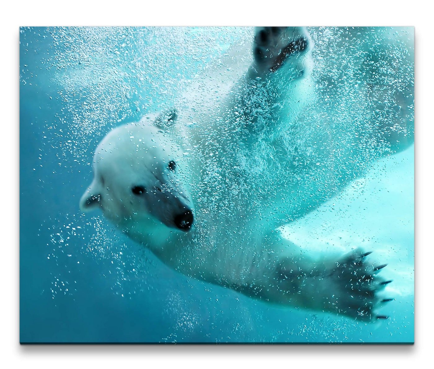 möbel-direkt.de Leinwandbild Bilder XXL Eisbär schwimmt im Meer Wandbild auf Leinwand von möbel-direkt.de