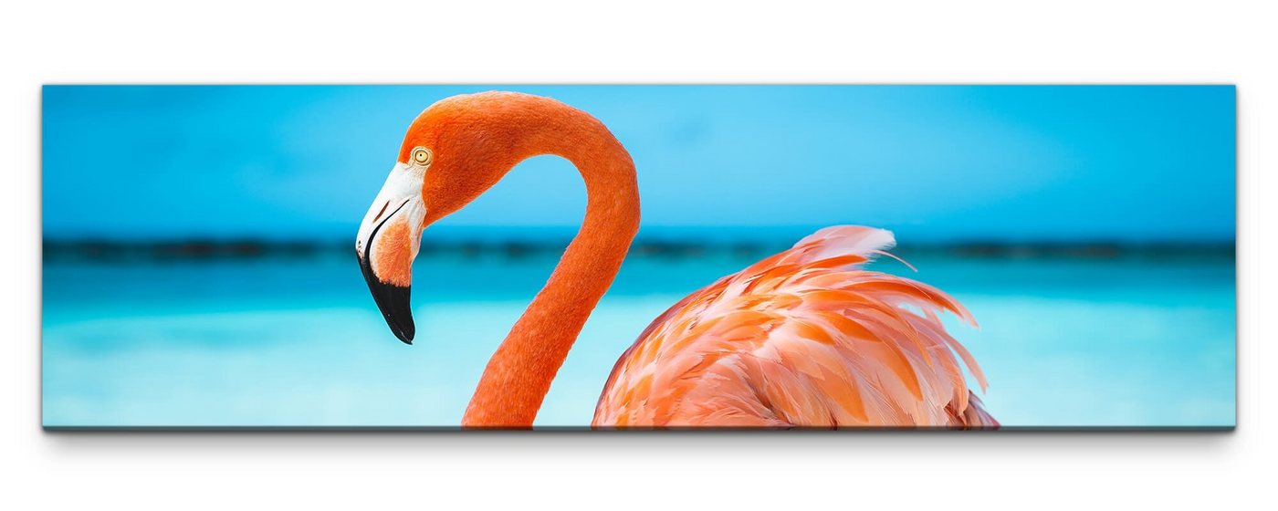 möbel-direkt.de Leinwandbild Bilder XXL Flamingo am Strand Wandbild auf Leinwand von möbel-direkt.de