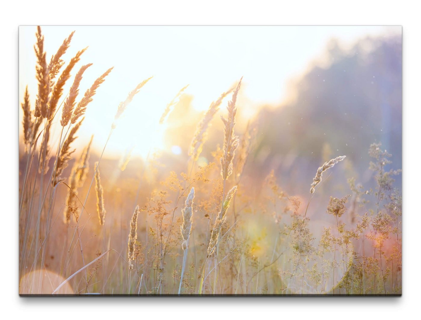 möbel-direkt.de Leinwandbild Bilder XXL Frühling Wandbild auf Leinwand von möbel-direkt.de