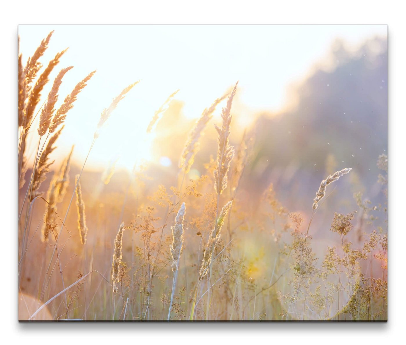 möbel-direkt.de Leinwandbild Bilder XXL Frühling Wandbild auf Leinwand von möbel-direkt.de