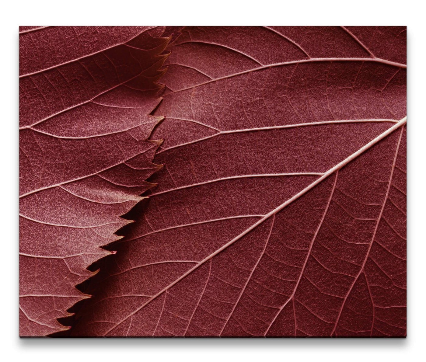 möbel-direkt.de Leinwandbild Bilder XXL Herbstblätter Wandbild auf Leinwand von möbel-direkt.de