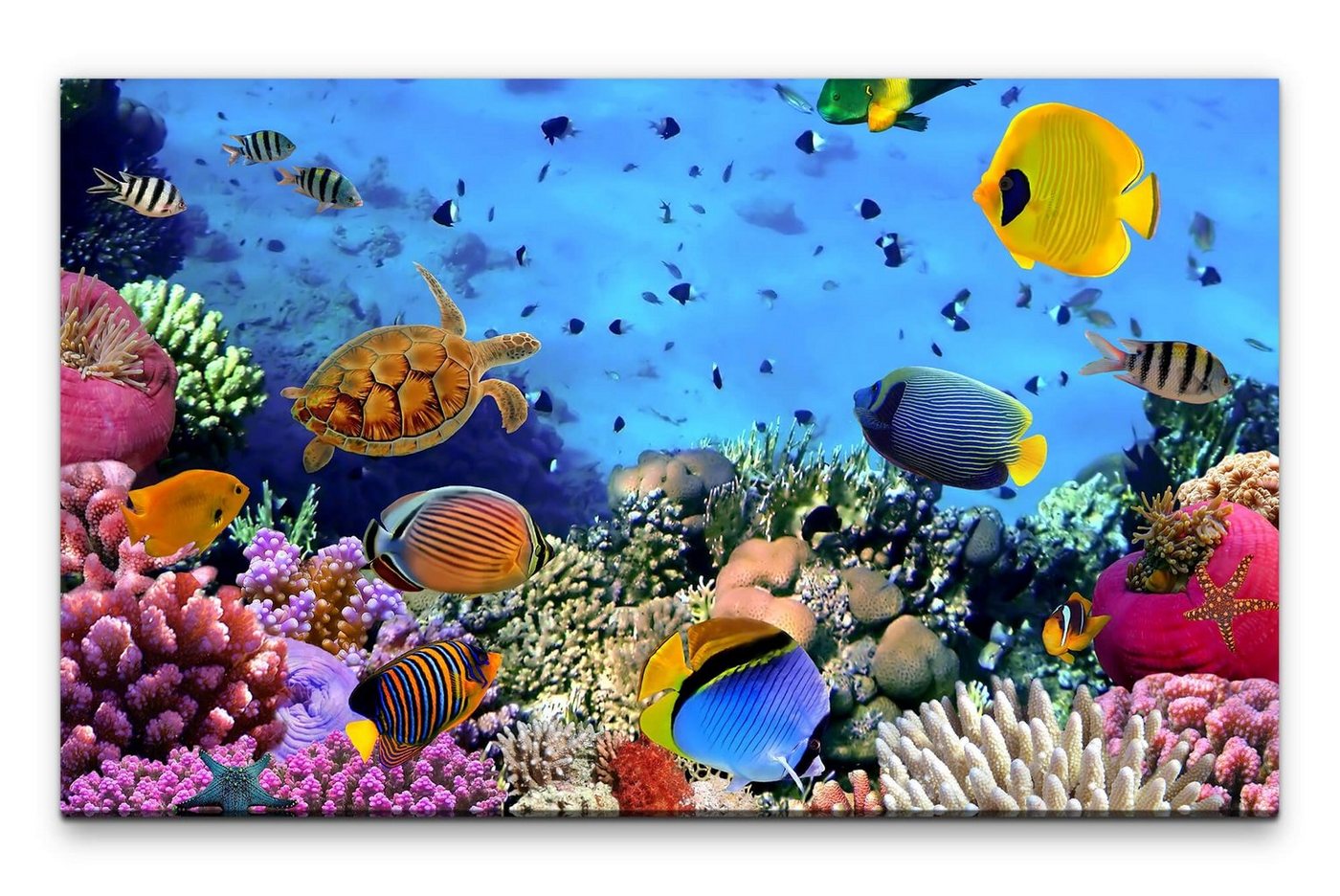 möbel-direkt.de Leinwandbild Bilder XXL Korallenriff Wandbild auf Leinwand von möbel-direkt.de