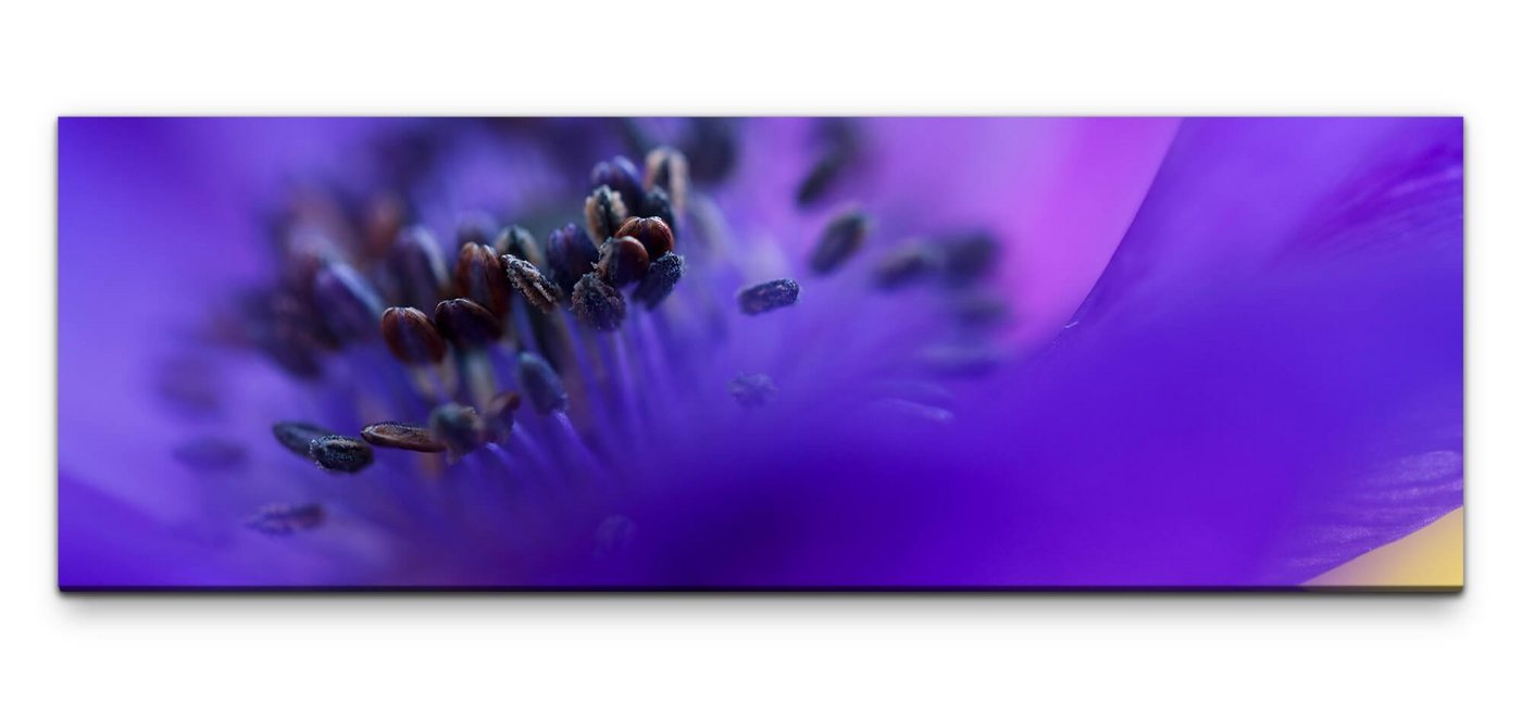 möbel-direkt.de Leinwandbild Bilder XXL Makro von Blauer Blume Wandbild auf Leinwand von möbel-direkt.de