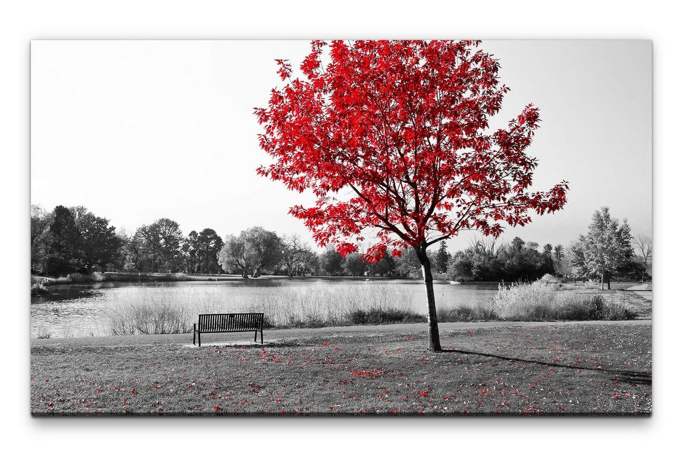 möbel-direkt.de Leinwandbild Bilder XXL Parkbank unter rotem Baum Wandbild auf Leinwand von möbel-direkt.de