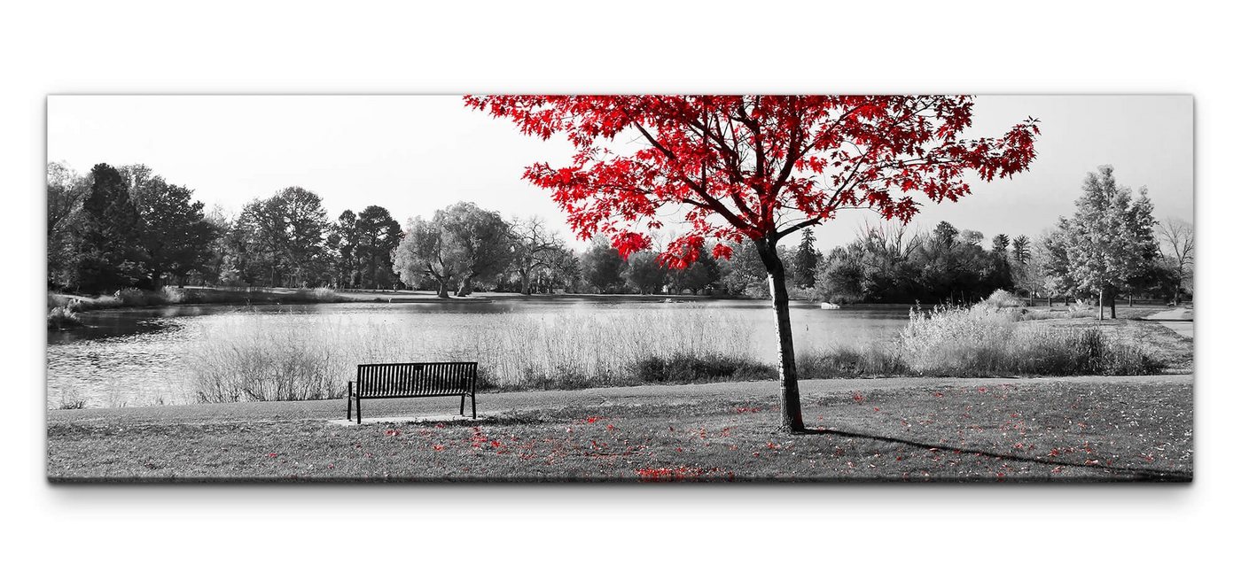 möbel-direkt.de Leinwandbild Bilder XXL Parkbank unter rotem Baum Wandbild auf Leinwand von möbel-direkt.de