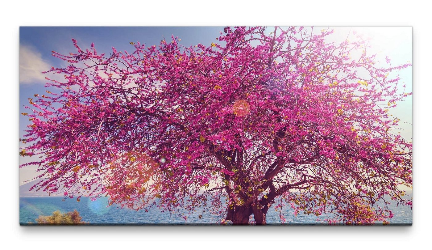 möbel-direkt.de Leinwandbild Bilder XXL Pinker Baum 50x100cm Wandbild auf Leinwand von möbel-direkt.de
