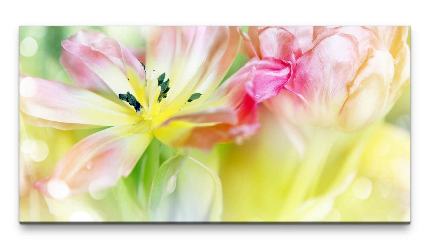 möbel-direkt.de Leinwandbild Bilder XXL Tulpenblüten 50x100cm Wandbild auf Leinwand von möbel-direkt.de