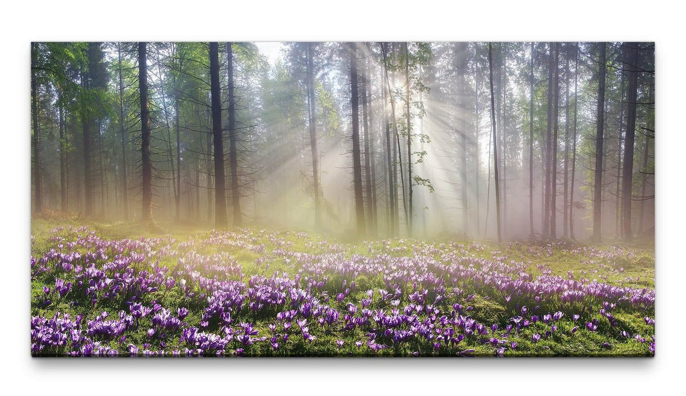 möbel-direkt.de Leinwandbild Bilder XXL Wald im Frühling 50x100cm Wandbild auf Leinwand von möbel-direkt.de