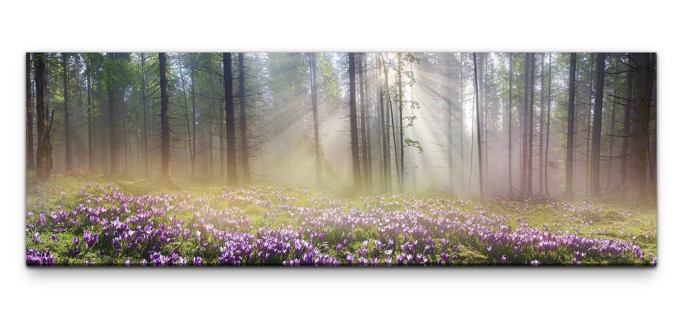 möbel-direkt.de Leinwandbild Bilder XXL Wald im Frühling Wandbild auf Leinwand von möbel-direkt.de