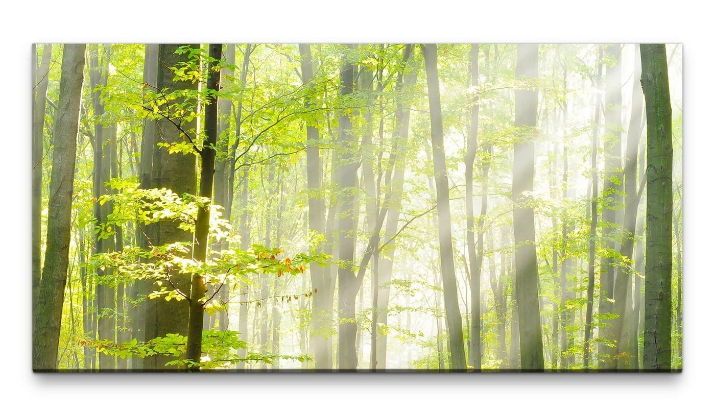 möbel-direkt.de Leinwandbild Bilder XXL Wald im Herbst 50x100cm Wandbild auf Leinwand von möbel-direkt.de