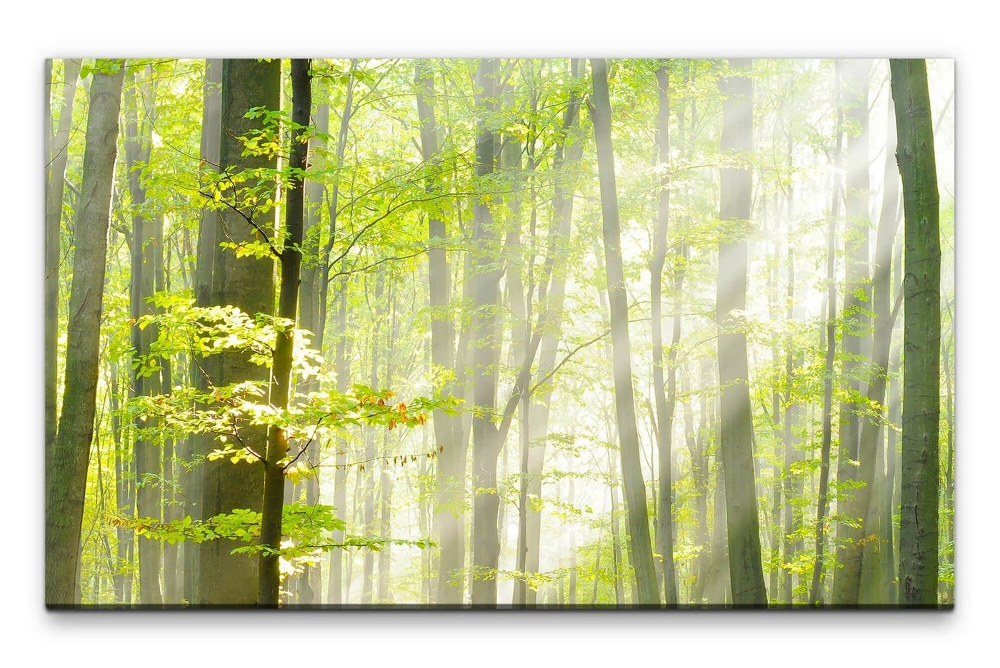 möbel-direkt.de Leinwandbild Bilder XXL Wald im Herbst Wandbild auf Leinwand von möbel-direkt.de