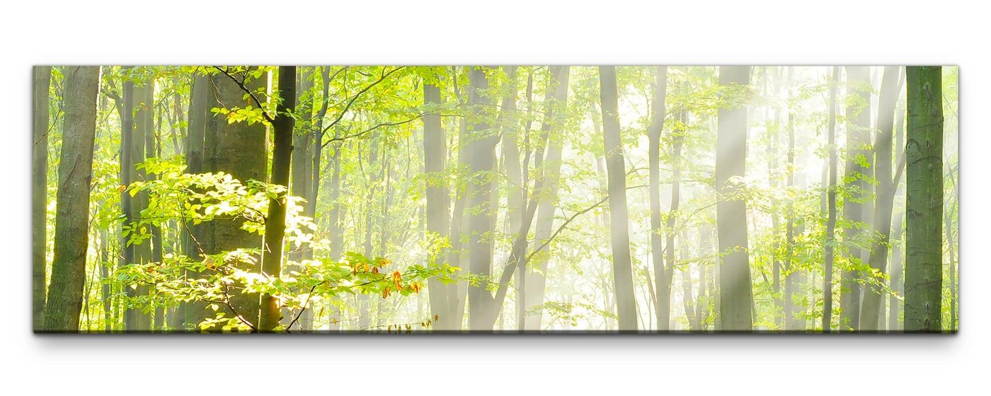 möbel-direkt.de Leinwandbild Bilder XXL Wald im Herbst Wandbild auf Leinwand von möbel-direkt.de