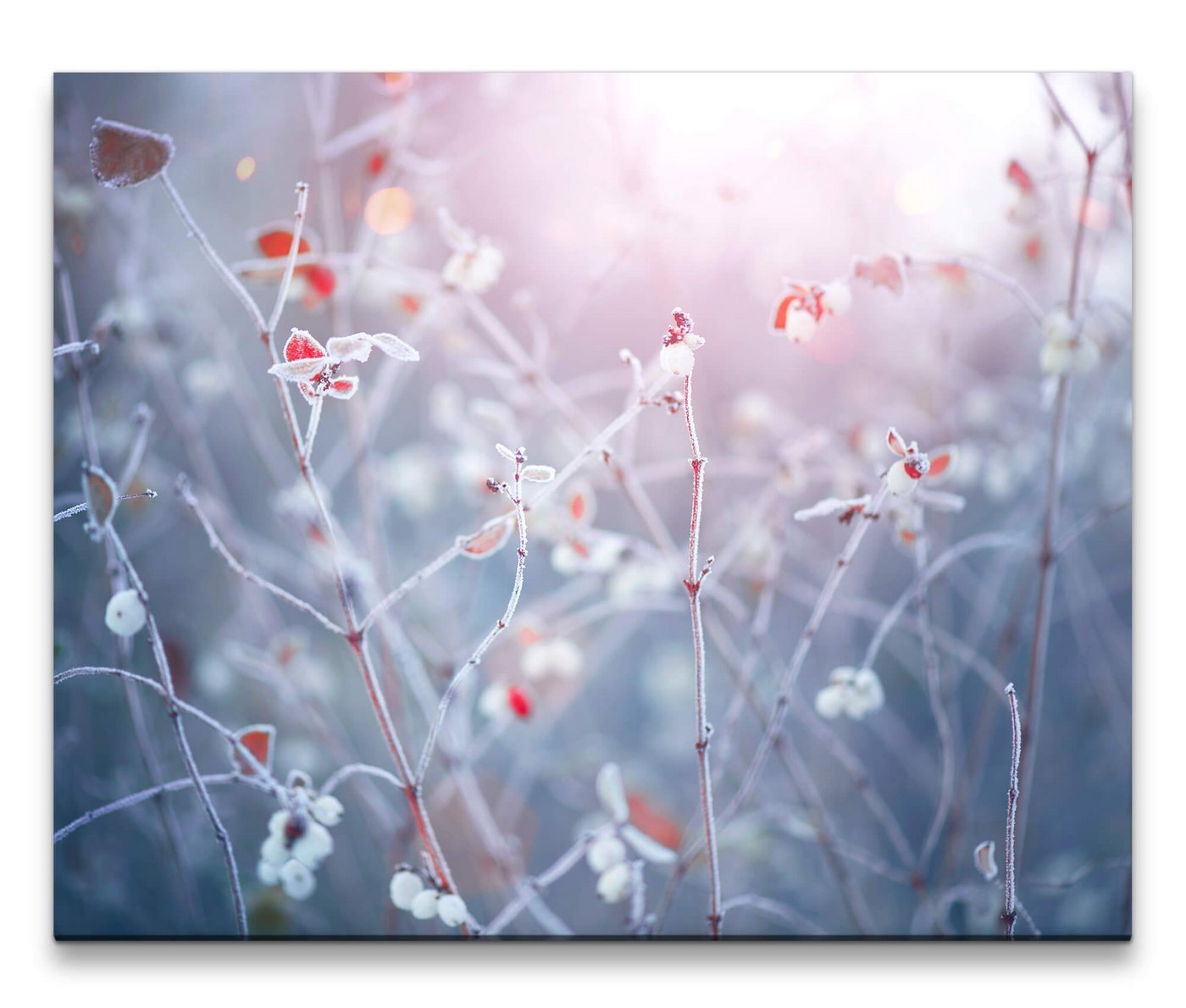 möbel-direkt.de Leinwandbild Bilder XXL Winterblumen Wandbild auf Leinwand von möbel-direkt.de