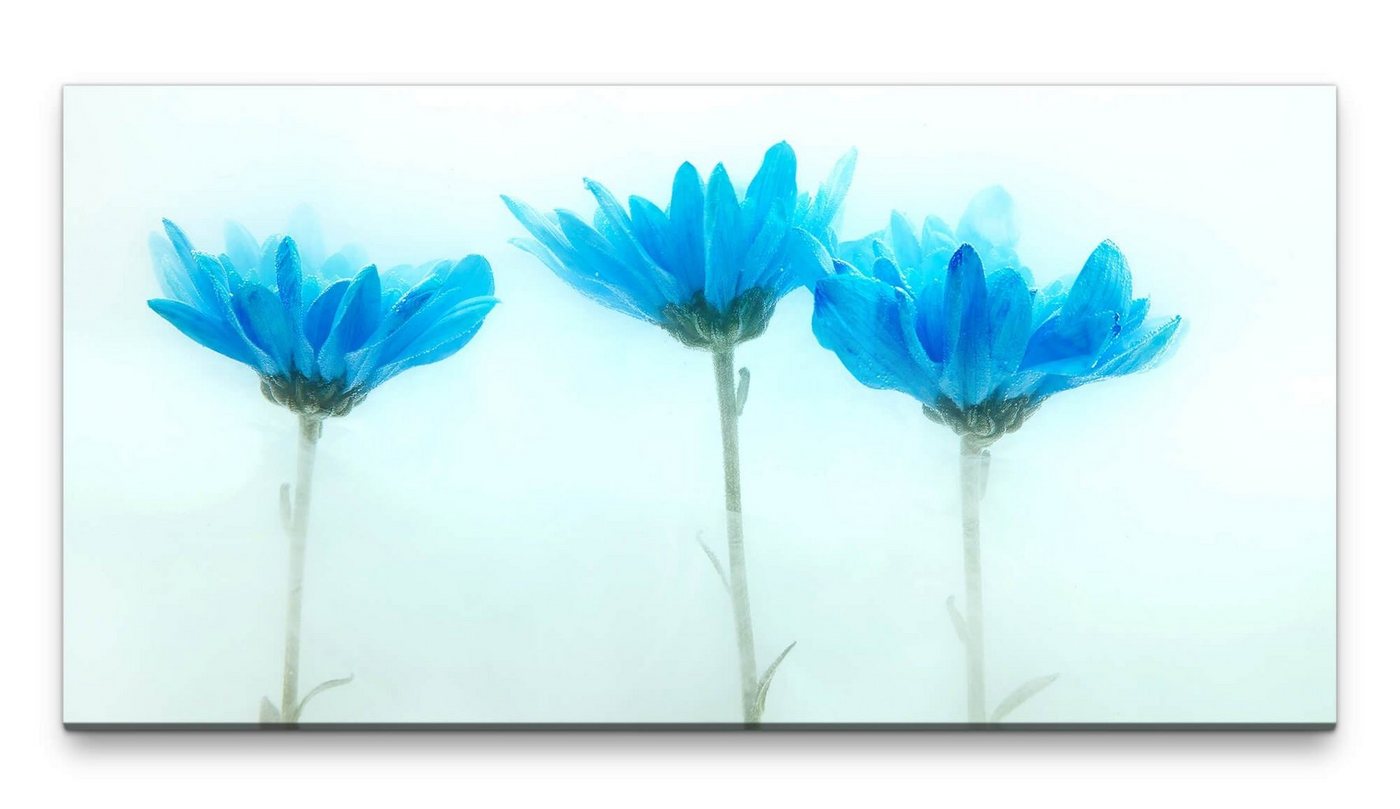 möbel-direkt.de Leinwandbild Bilder XXL Zarte blaue Blumen 50x100cm Wandbild auf Leinwand von möbel-direkt.de