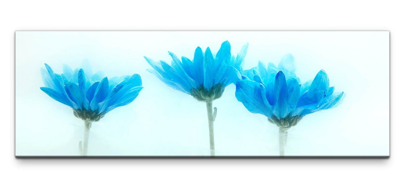 möbel-direkt.de Leinwandbild Bilder XXL Zarte blaue Blumen Wandbild auf Leinwand von möbel-direkt.de