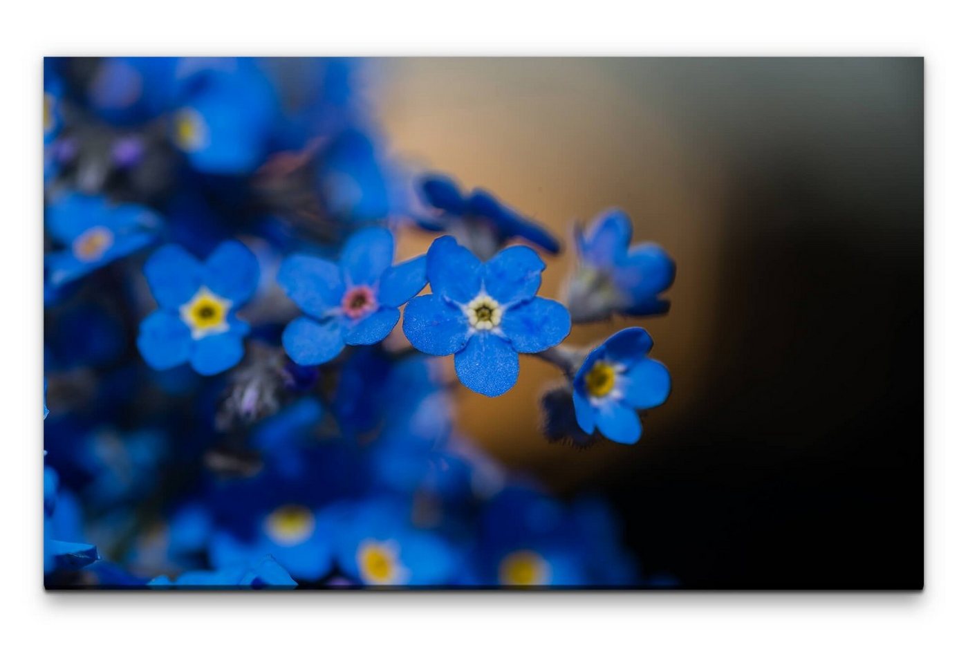 möbel-direkt.de Leinwandbild Bilder XXL blaue Blüten Wandbild auf Leinwand von möbel-direkt.de