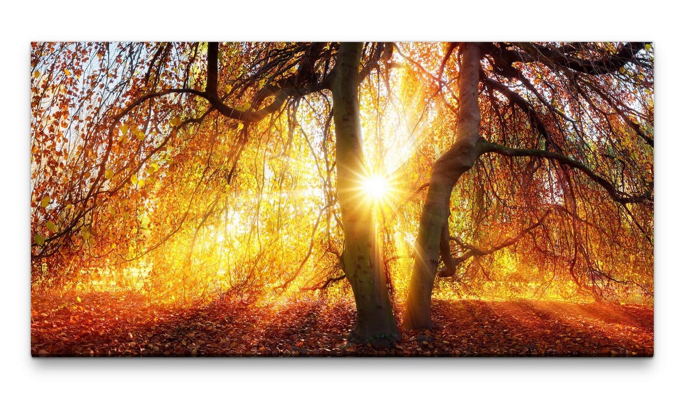 möbel-direkt.de Leinwandbild Bilder XXL goldener Herbst 50x100cm Wandbild auf Leinwand von möbel-direkt.de