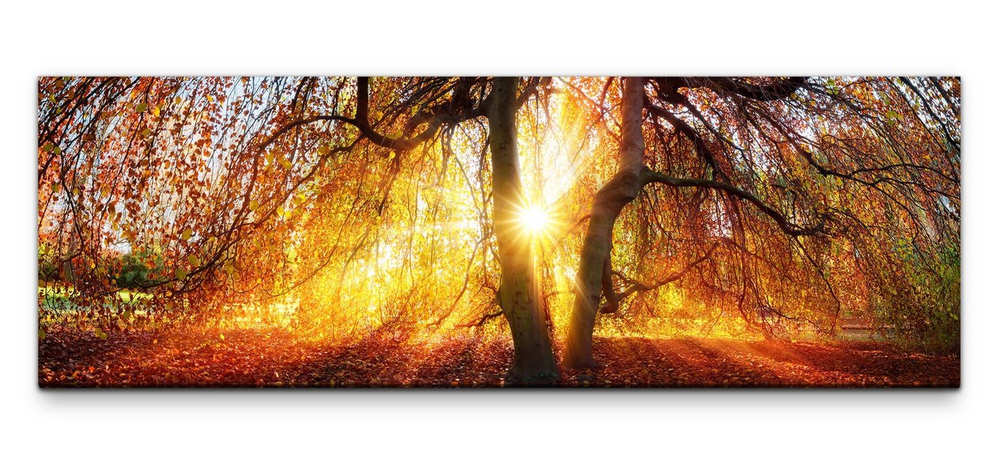 möbel-direkt.de Leinwandbild Bilder XXL goldener Herbst Wandbild auf Leinwand von möbel-direkt.de