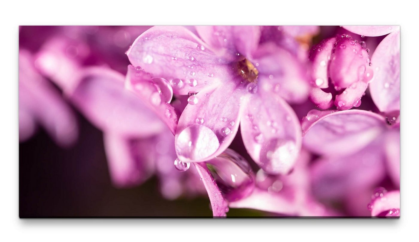 möbel-direkt.de Leinwandbild Bilder XXL pinke Blumen 50x100cm Wandbild auf Leinwand von möbel-direkt.de