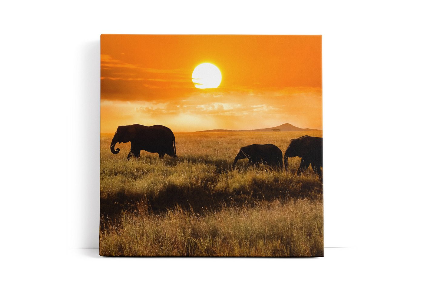 möbel-direkt.de Leinwandbild Elefanten Elefantenherde Afrika Natur Landschaft Sonne von möbel-direkt.de