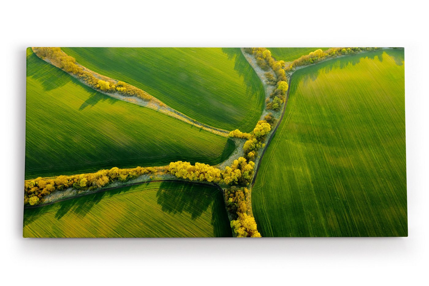 möbel-direkt.de Leinwandbild Luftaufnahme grüne Felder Natur Landschaft von möbel-direkt.de