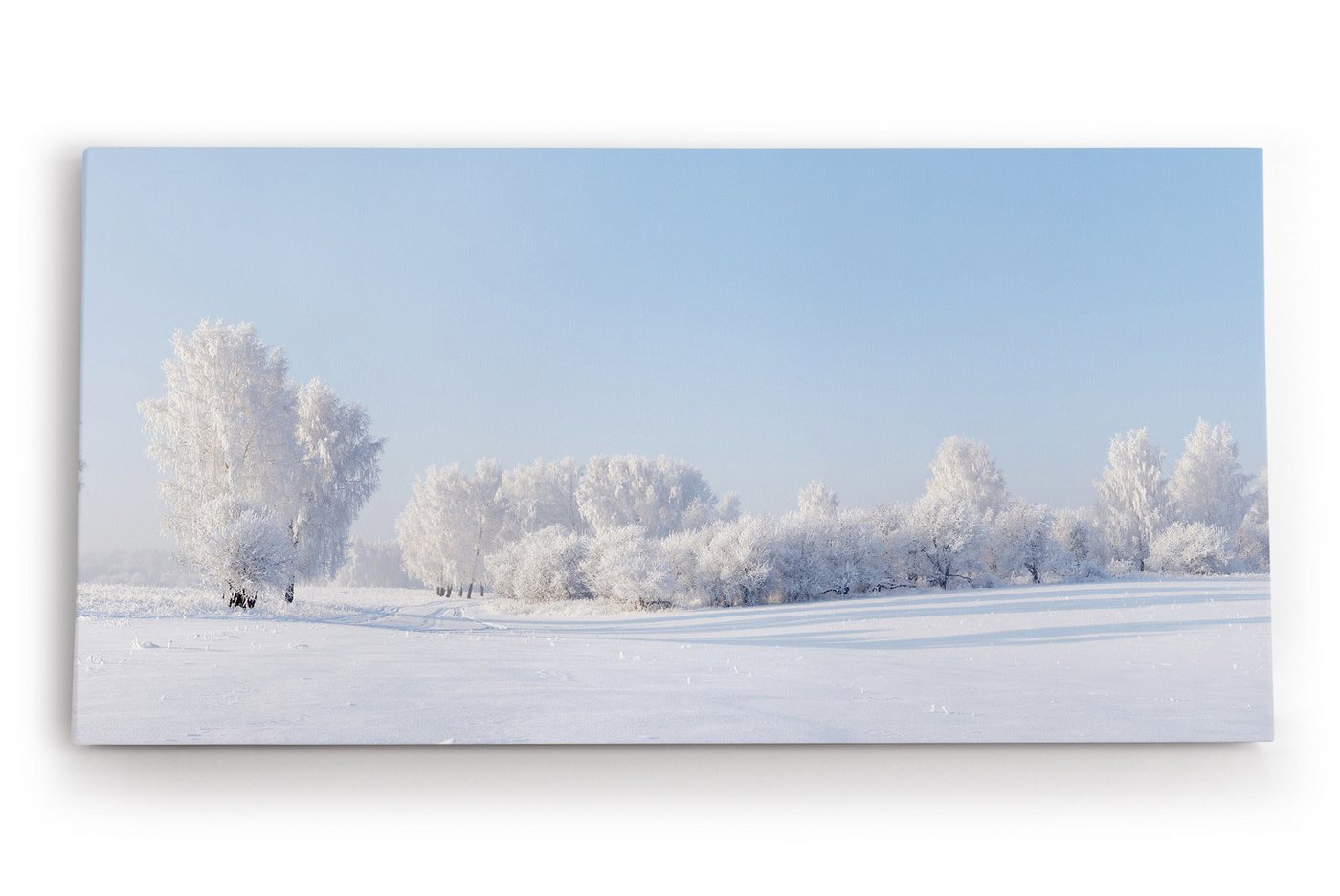 möbel-direkt.de Leinwandbild Schneelandschaft Schnee Bäume Weiß Winter von möbel-direkt.de