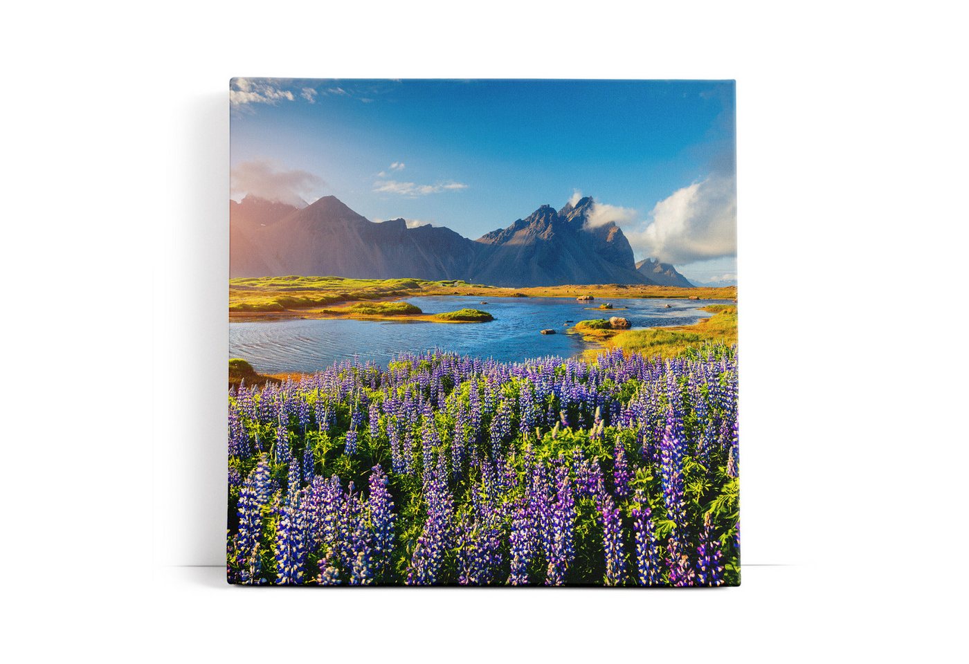 möbel-direkt.de Leinwandbild Stokksnes Inland Berge Landschaft Blumen See Natur von möbel-direkt.de