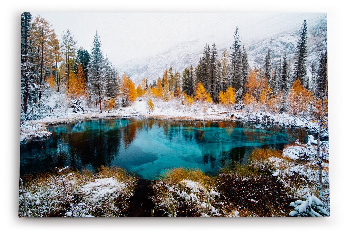 möbel-direkt.de Leinwandbild Teich im Winter Schnee Tannen Tannenwald Natur von möbel-direkt.de