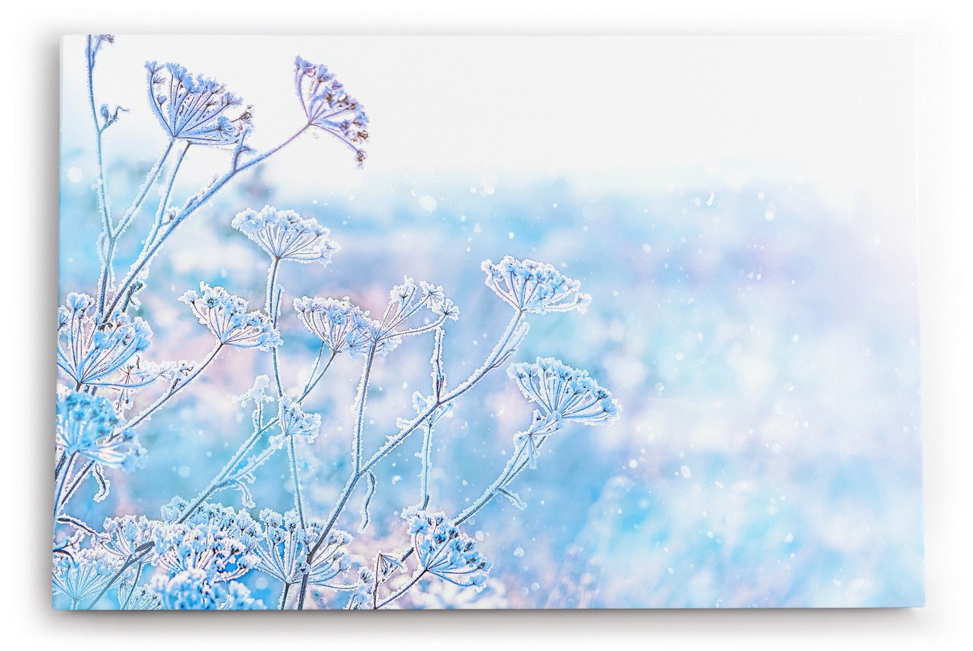 möbel-direkt.de Leinwandbild Winter Schnee Schneeflocken Weiß Blau Hellblau von möbel-direkt.de