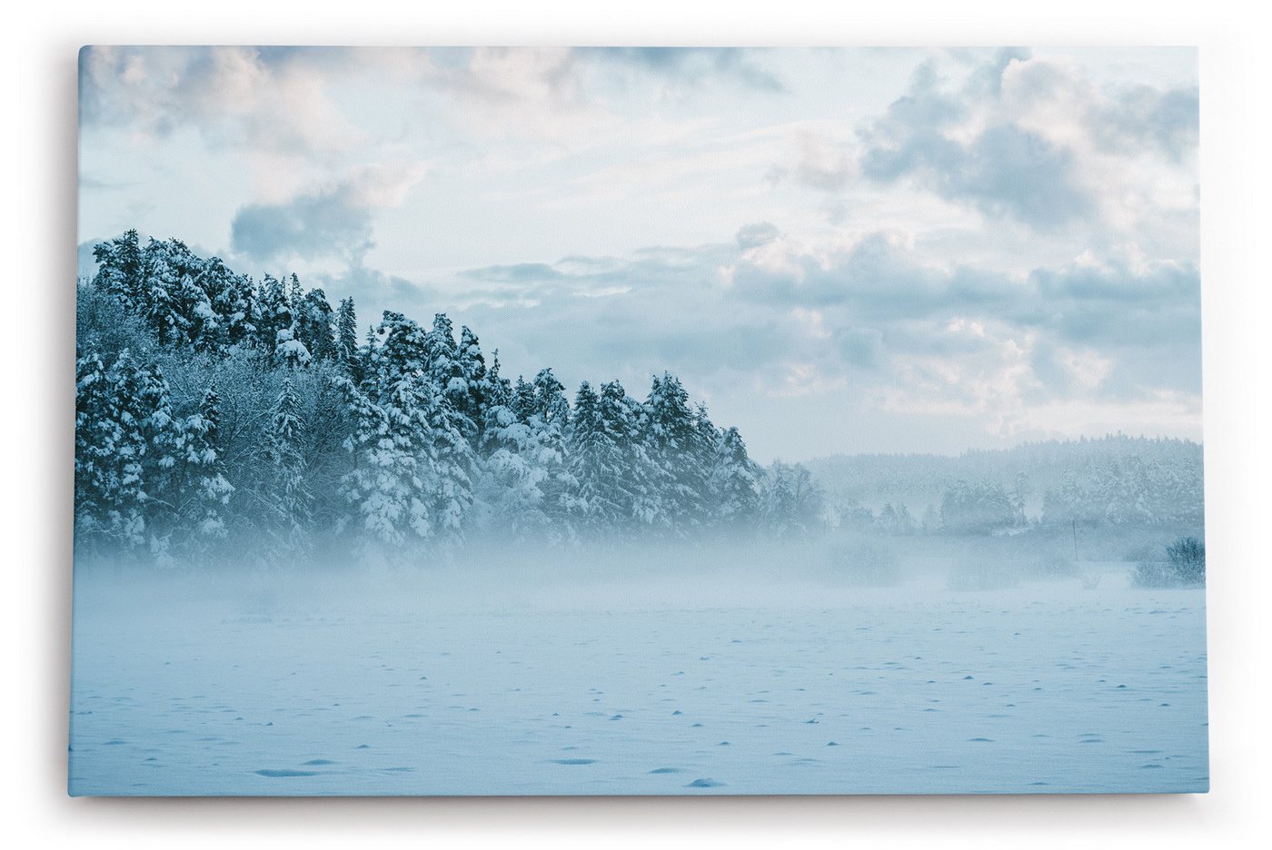 möbel-direkt.de Leinwandbild Winter Schnee Tannen Winterlandschaft Nebel von möbel-direkt.de