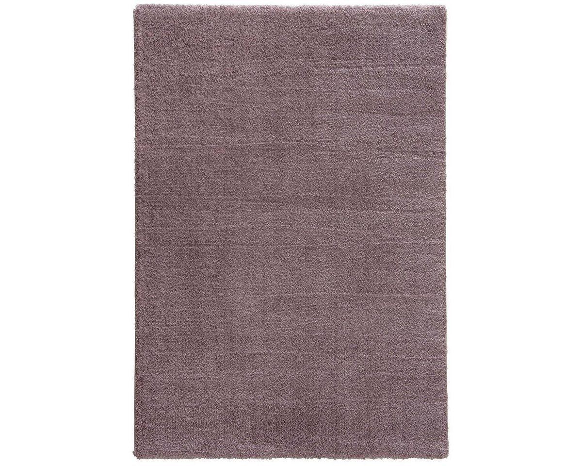 Teppich Salerno, möbelando, rechteckig, Höhe: 3 mm, rechteckig - Breite x Höhe ca. 160 cm x 3 cm maschinell gewebt Indoor - mauve von möbelando