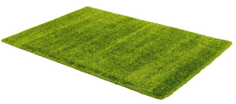 Teppich Teppich Matera 67X130cm D.180 C.035 grün, möbelando, rechteckig, Höhe: 4 mm, rechteckig - Breite x Höhe ca. 67 cm x 4,2 cm Maschinell gewebt Indoor - grün von möbelando