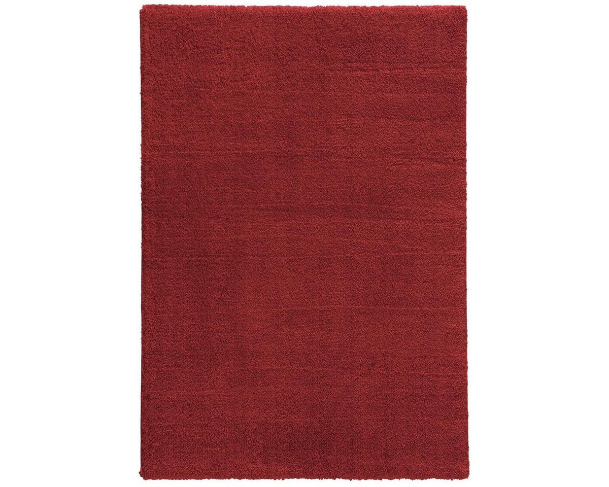 Teppich Teppich Salerno 67x130cm D.200 C.010 rot, möbelando, rechteckig, Höhe: 3 mm, rechteckig - Breite x Höhe ca. 67 cm x 3 cm maschinell gewebt Indoor - rot von möbelando