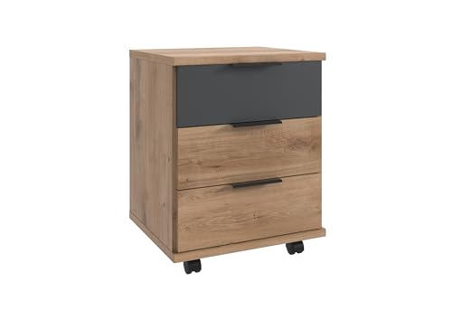 möbelando Rollcontainer >TEXEL< Jugendzimmer-Kommode in Plankeneiche Dekor & Graphit mit 3 Schubladen, Moderne Spanplatte, zerlegt, pflegeleicht, 46x58x40 cm, Made in Germany, ohne Deko von möbelando